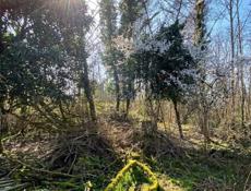 📌 УЧАСТОК КЫНДЫГ