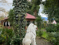 Апацха на белой речке 