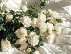 Ищем повара очень срочно 