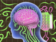 рефераты .курсовые помощь студентам,дизайн