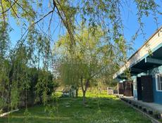 Цандрипш жилье