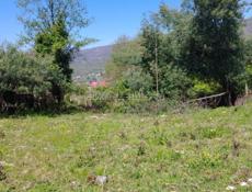 20 сотых улица Братьев зантария Батумская 