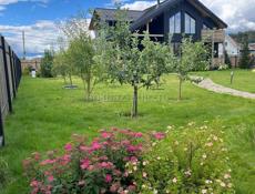 Срочно 300 т Поэтому такая цена 300т срочно !!