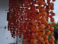 Хурма вяленаяя (сушка) 