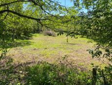 Сухум дзидзария 