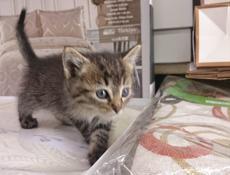 Чудесный малыш_мальчик!