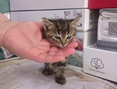 Чудесный малыш_мальчик!