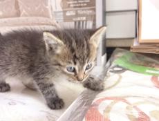 Чудесный малыш_мальчик!