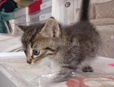 Чудесный малыш_мальчик!