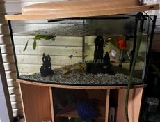 Аквариум с тумбой  рыбками 300 л