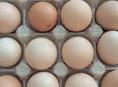 Яица домашние