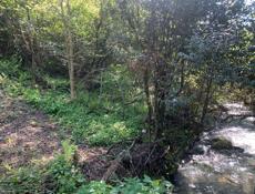 Участок 17 соток Гагра 