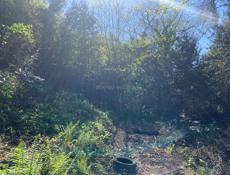 Участок 17 соток Гагра 