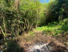 Участок 17 соток Гагра 