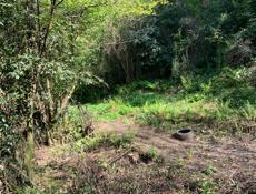 Участок 17 соток Гагра 