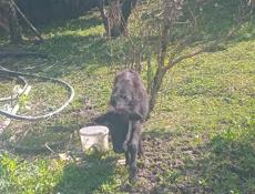 Срочно торг