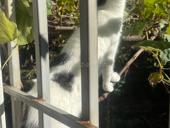 Комната в центре Сухуми