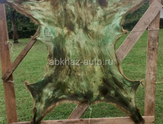 Медвежья шкура 