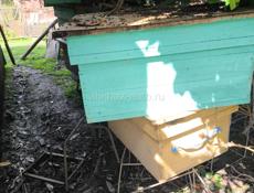 Домики для пчёл 