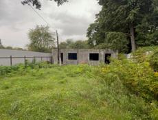 Цитрусовый 