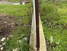 Цитрусовый 