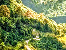 Ищу работу на лето 