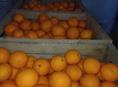 Продаю апельсины Окола тона