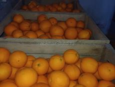 Продаю апельсины Окола тона