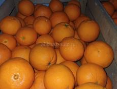 Продаю апельсины Окола тона