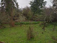 земельный участок 