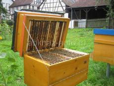 Продаю ульи для пчел вместе с подставками 