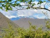 УЧАСТОК 70 СОТОК В АЛАХАДЗЫ