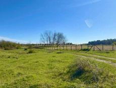 УЧАСТОК 70 СОТОК В АЛАХАДЗЫ