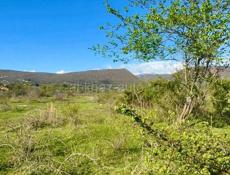 УЧАСТОК 70 СОТОК В АЛАХАДЗЫ