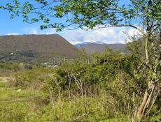 УЧАСТОК 70 СОТОК В АЛАХАДЗЫ