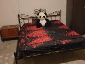 Алахадзы.Цитрусовый совхоз