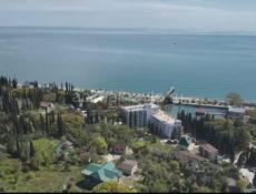 🚨 СРОЧНАЯ ПРОДАЖА участок в Новом Афоне