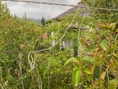 Участок на виэме Сухум 