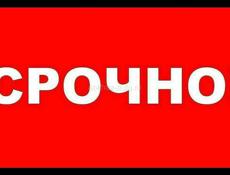 Сниму квартиру 