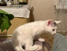 Девочки_сестрички. 1, 5 месяца.