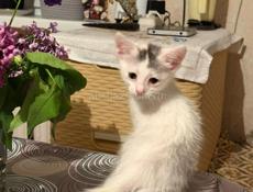 Девочки_сестрички. 1, 5 месяца.