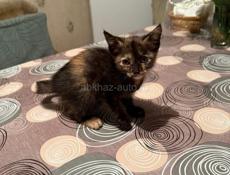 Девочки_сестрички. 1, 5 месяца.