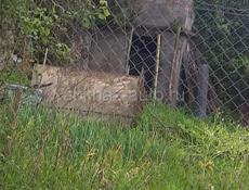 Продается участок 9 соток.в Н.Эшере 