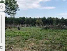 Участок земли в аэропорту 