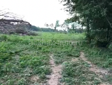 Участок земли в аэропорту 