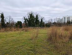 УЧАСТОК 40 СОТОК БАМБОРА