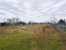 УЧАСТОК 40 СОТОК БАМБОРА