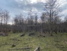 УЧАСТОК ГУДАУТА 