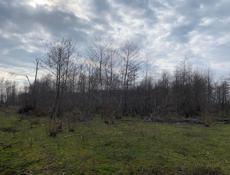 УЧАСТОК ГУДАУТА 