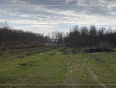 УЧАСТОК ГУДАУТА 